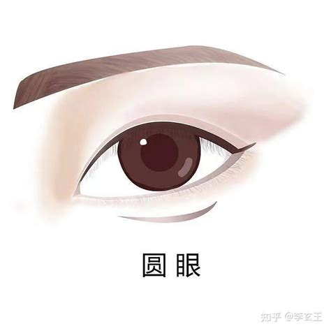 柳叶眼|常见眼型解析，你了解自己的眼型吗？